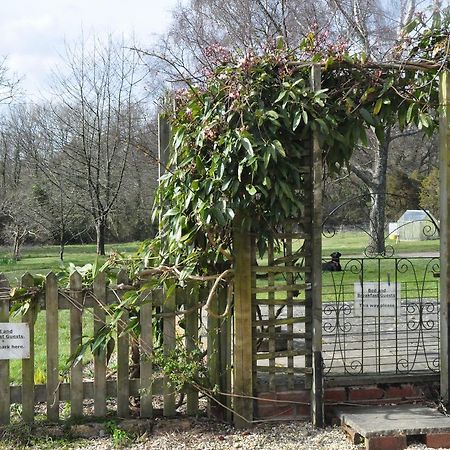 ลิตเติ้ลไทด์บรูค ฟาร์ม Bed & Breakfast Wadhurst ภายนอก รูปภาพ