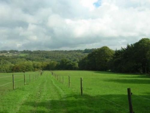ลิตเติ้ลไทด์บรูค ฟาร์ม Bed & Breakfast Wadhurst ภายนอก รูปภาพ