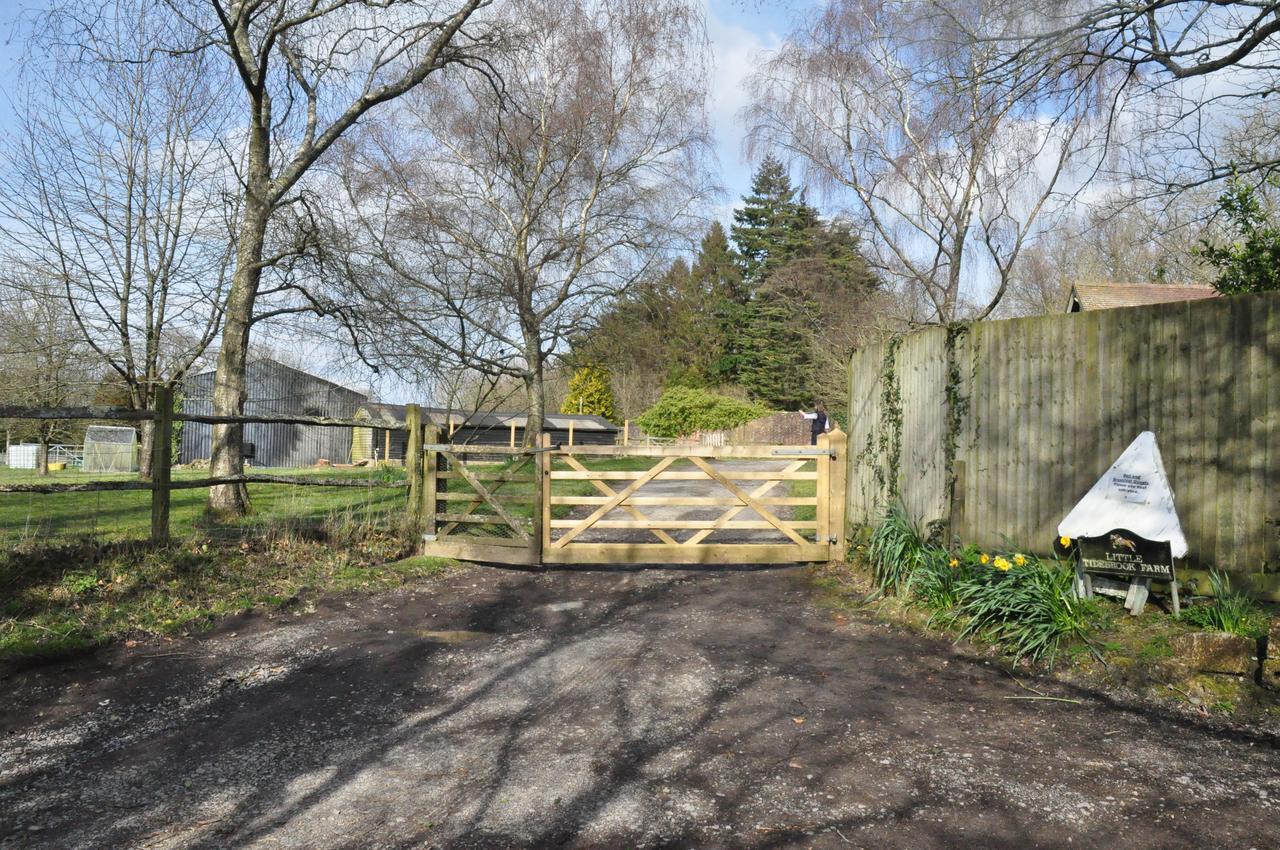 ลิตเติ้ลไทด์บรูค ฟาร์ม Bed & Breakfast Wadhurst ภายนอก รูปภาพ