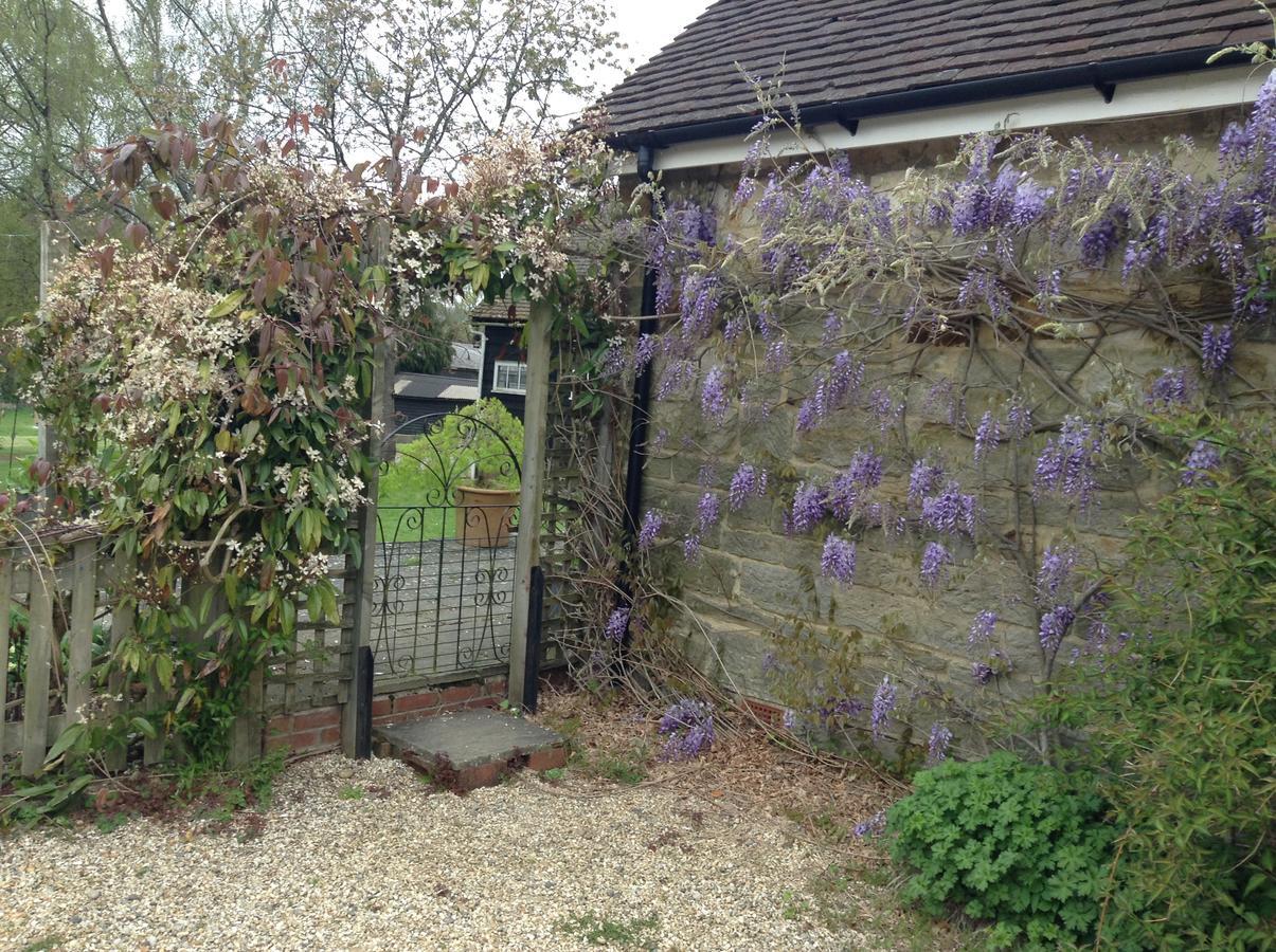 ลิตเติ้ลไทด์บรูค ฟาร์ม Bed & Breakfast Wadhurst ภายนอก รูปภาพ