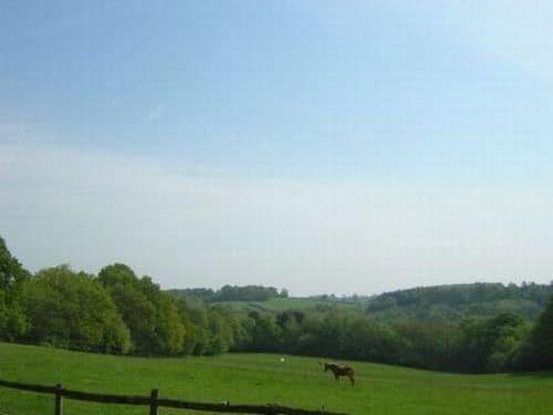 ลิตเติ้ลไทด์บรูค ฟาร์ม Bed & Breakfast Wadhurst ภายนอก รูปภาพ